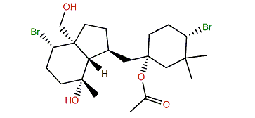 Pinnaterpene B